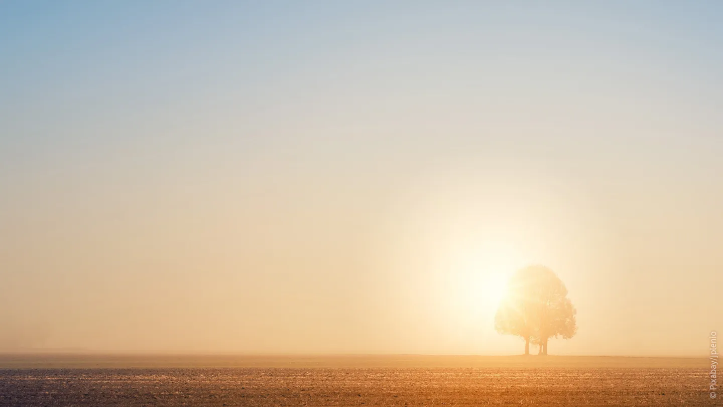 blendende Sonne bei nachlassender Sehkraft im Alter. Blogbild vom Seniorenmagazin Lebenplus