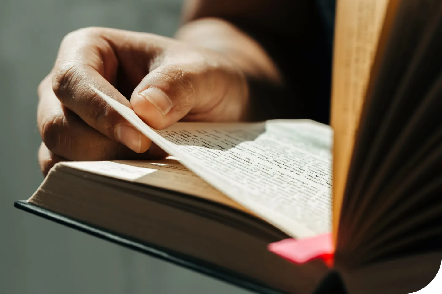 Jemand liest in der Bibel. Blogbild zum Thema: Sprichwörter aus der Bibel