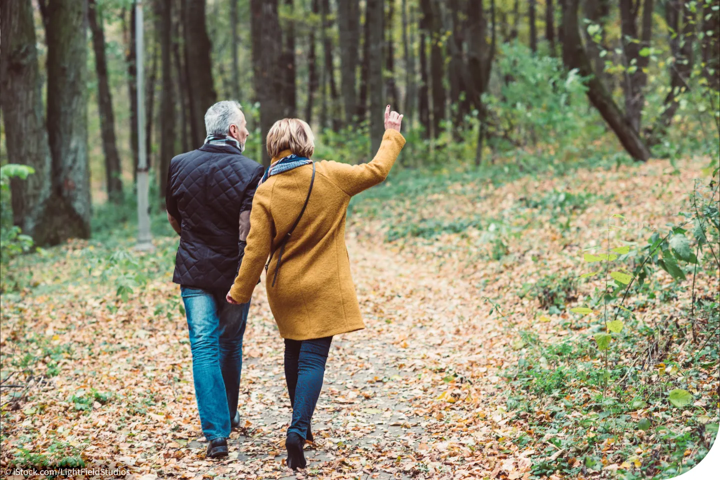 Ein älteres Paar geht im Wald spazieren. Blogbild vom Seniorenmagazin LebenPlus zum Thema: fit im Alter