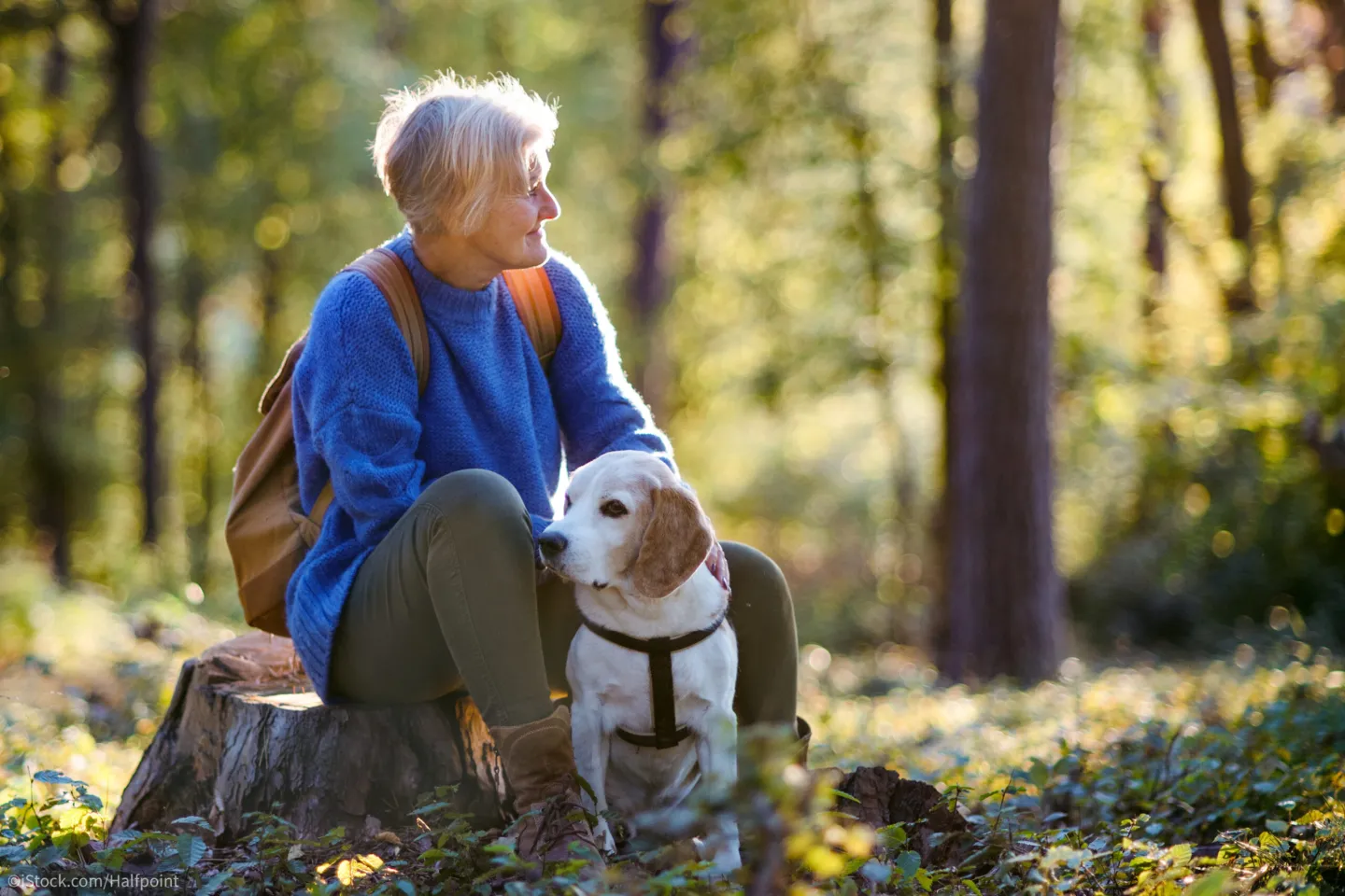 eine Senioren geht mit ihrem Hund im Wald spazieren.