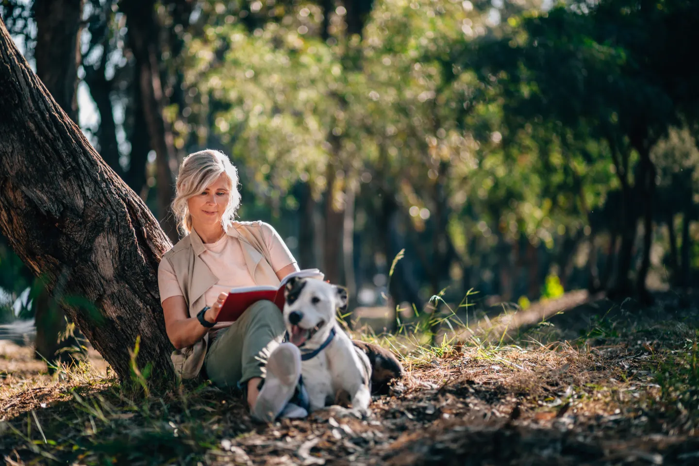 Frau entspannt auf einer Lichtung mit ihrem Hund. Blogbild zum Thema: Trauerprozess